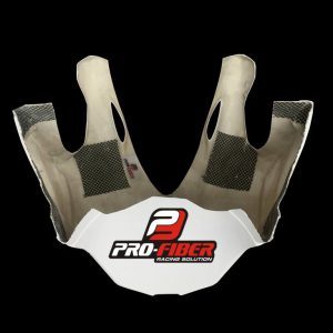 Fiberglass_upper_unit_Kawasaki_ZX10R_2016
