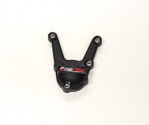 BMW_S1000R_2017_pulse
