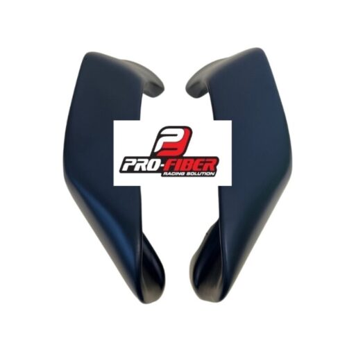 WINGLETS R1 2020